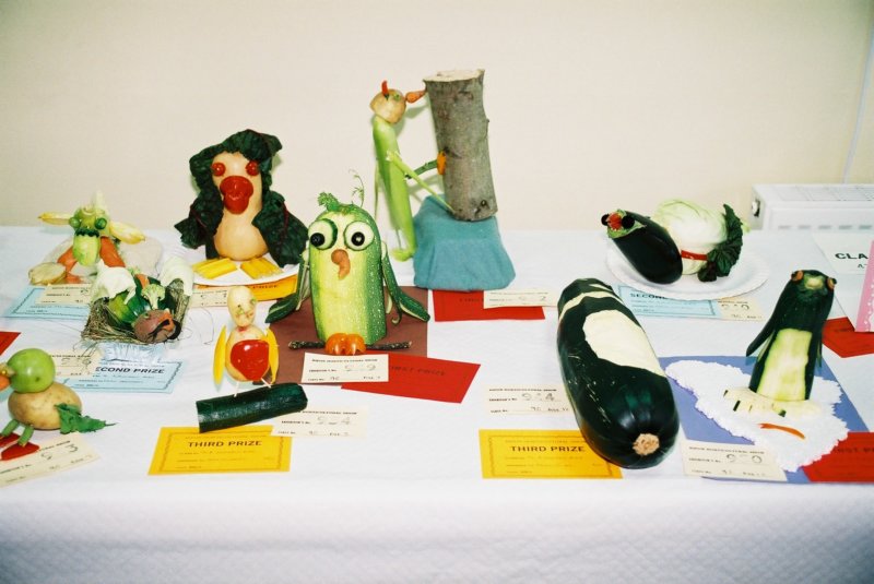 childrensclassvegetablebird.jpg