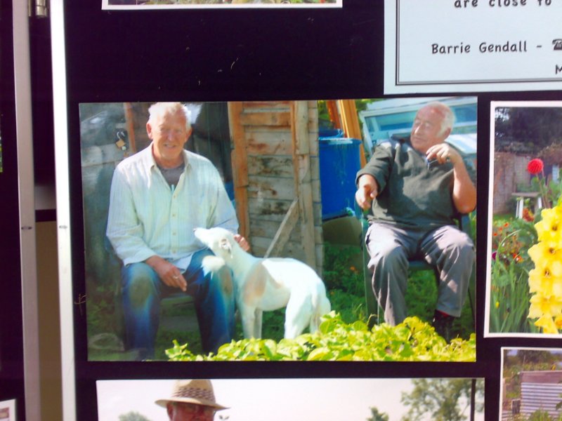 photo.jpg