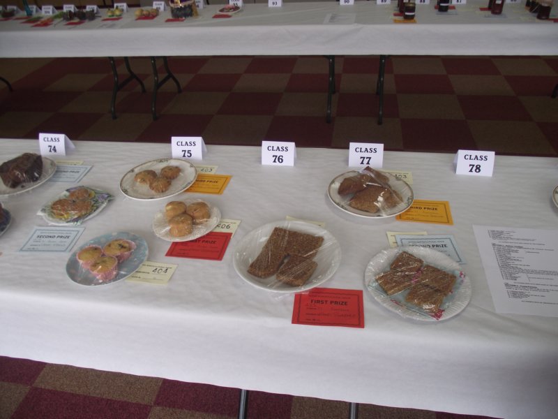 photo58.jpg