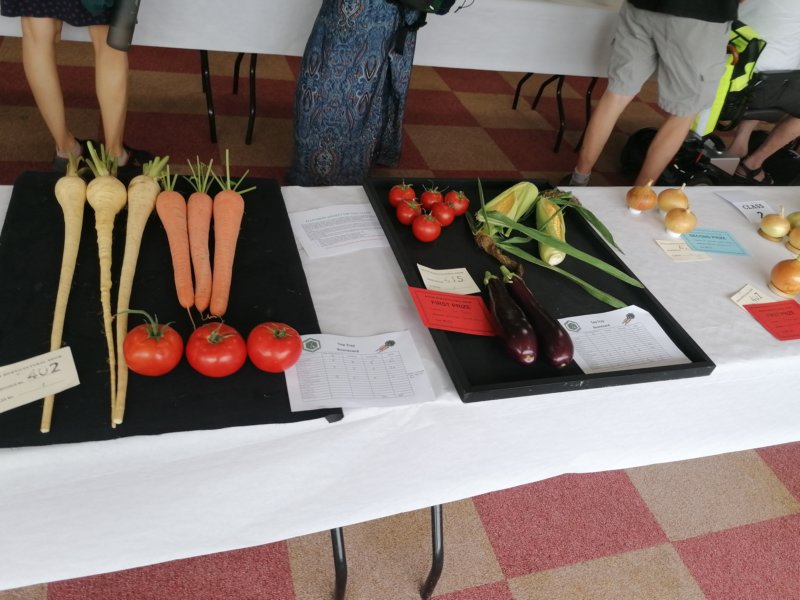photo12.jpg